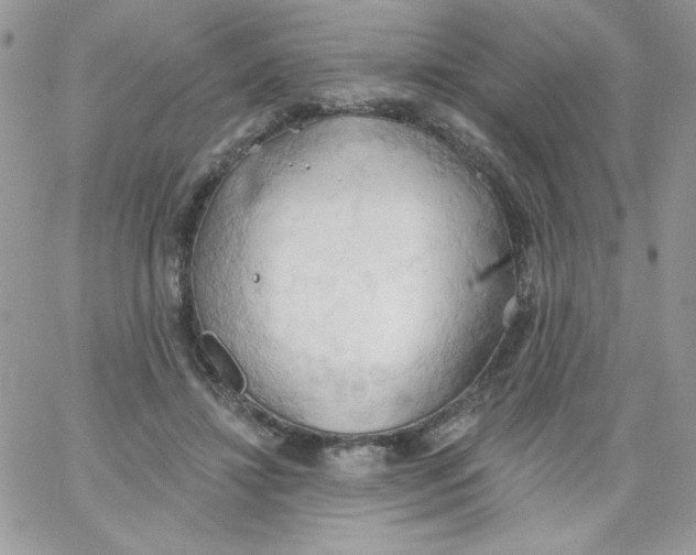 X0000062890452200602031811