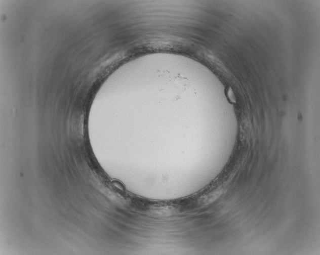 X0000062890454200602031811