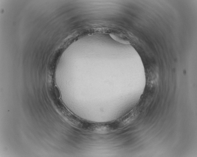 X0000062890456200602031811