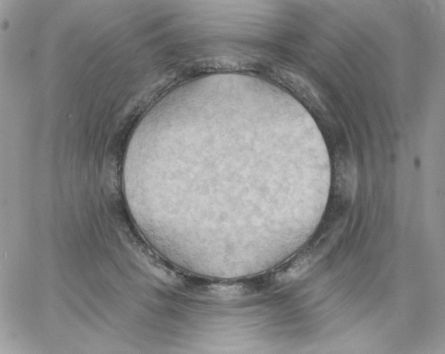 X0000062890457200602031811