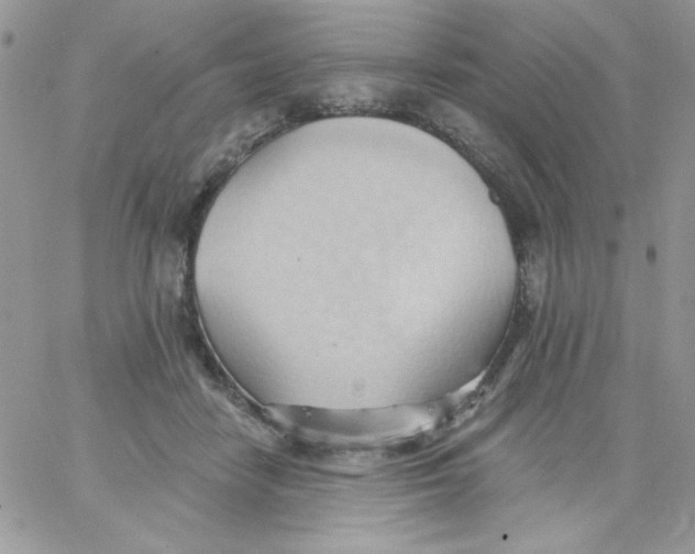 X0000062890458200602031811