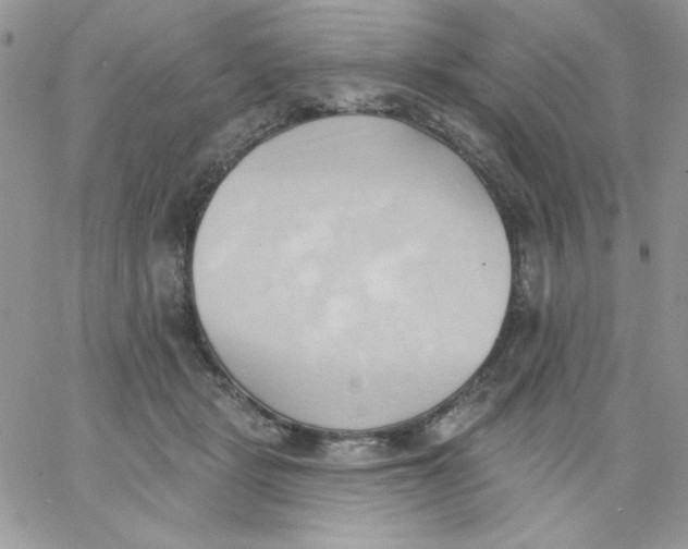 X0000062890461200602031811