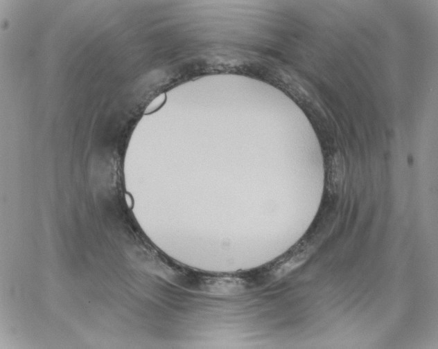 X0000062890463200602031811