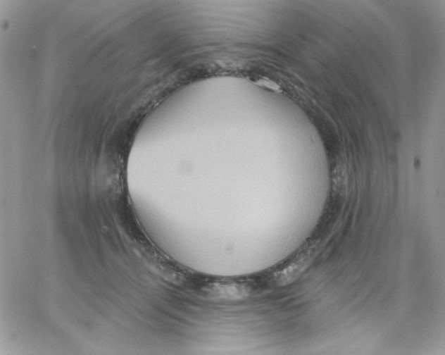 X0000062890464200602031811