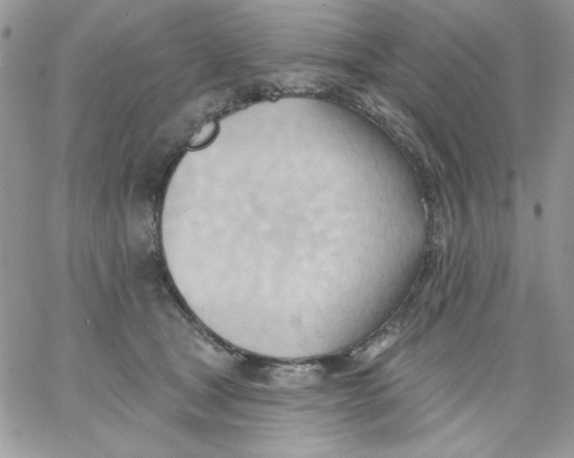 X0000062890465200602031811