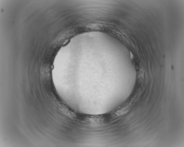 X0000062890466200602031811