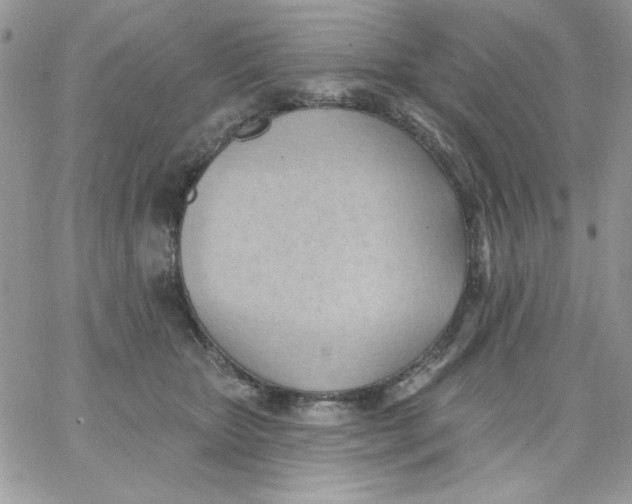 X0000062890467200602031811