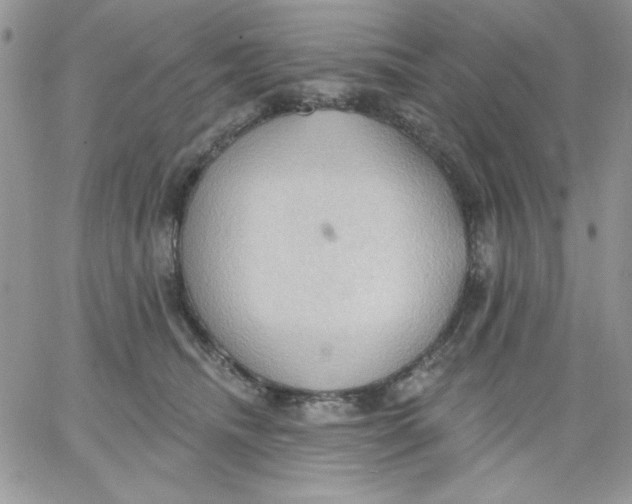 X0000062890468200602031811