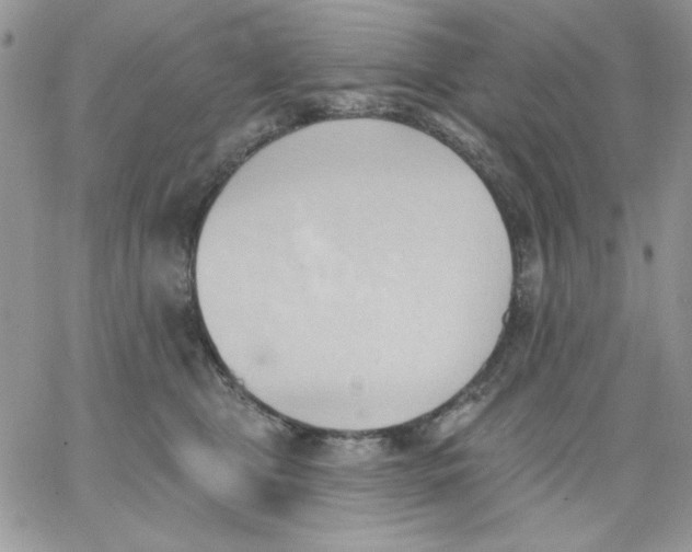 X0000062890469200602031811