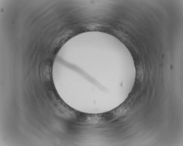 X0000062890470200602031811