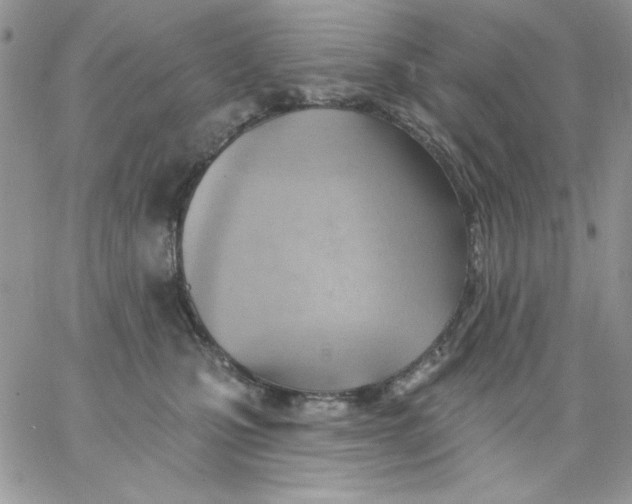 X0000062890471200602031811