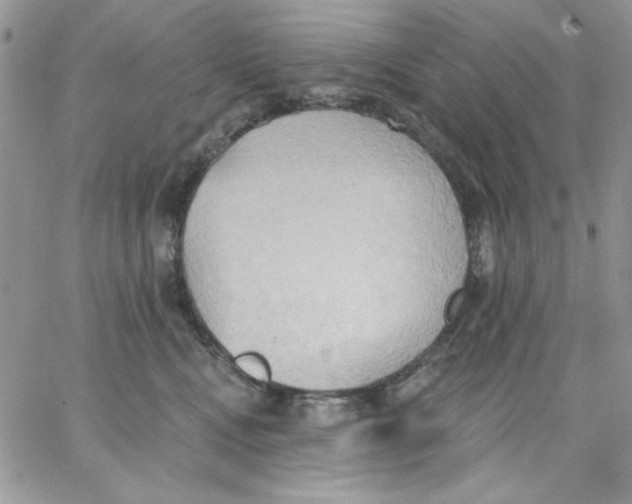 X0000062890472200602031811