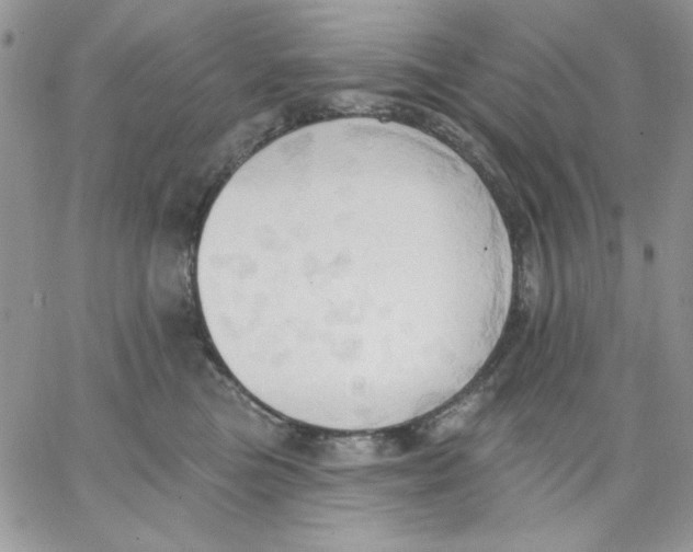 X0000062890473200602031811