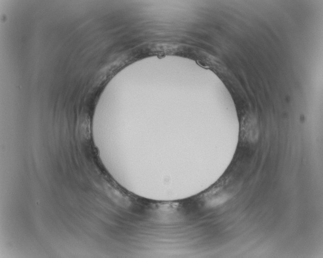 X0000062890474200602031811