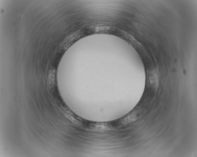 X0000062890475200602031812