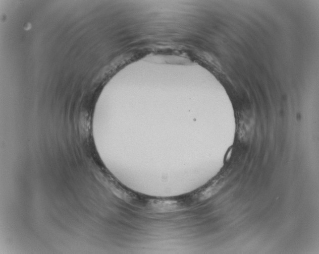 X0000062890476200602031812