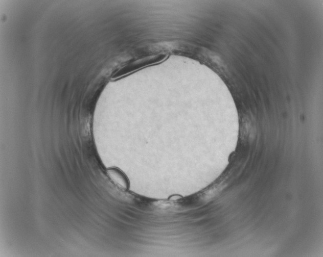 X0000062890477200602031812