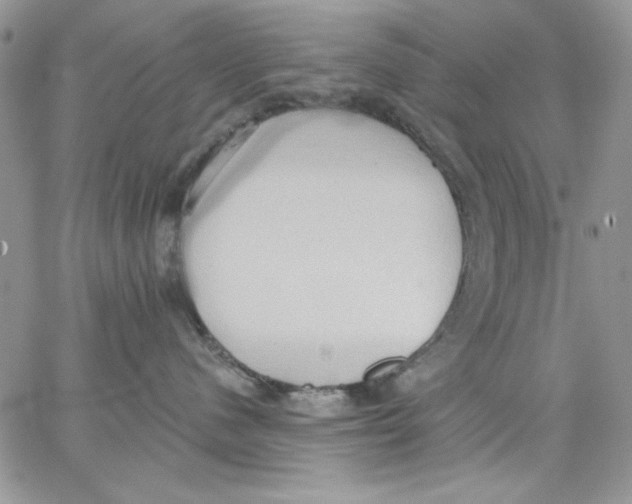 X0000062890480200602031812