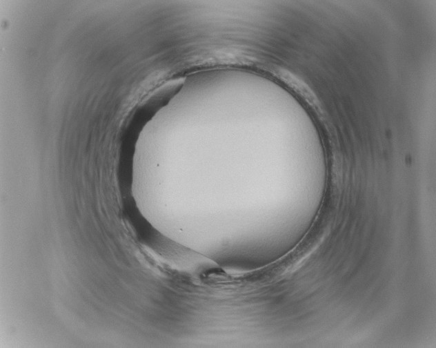 X0000062890481200602031811