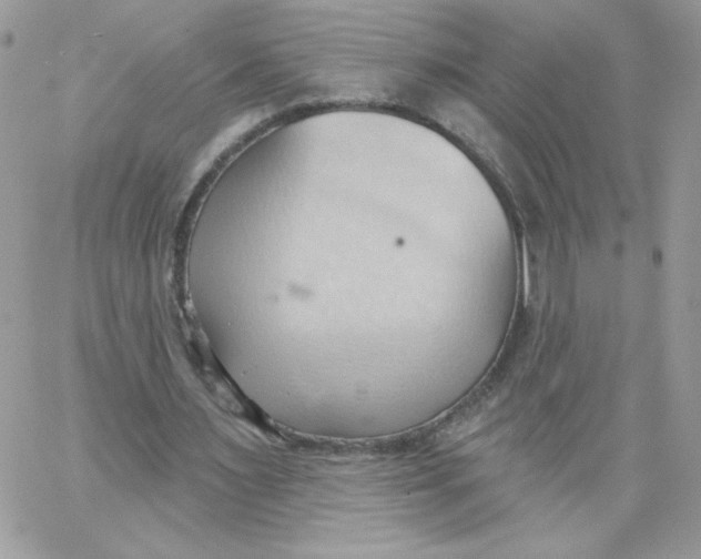 X0000062890483200602031811