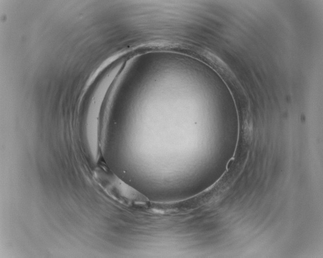 X0000062890484200602031811