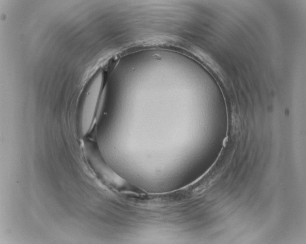 X0000062890485200602031811