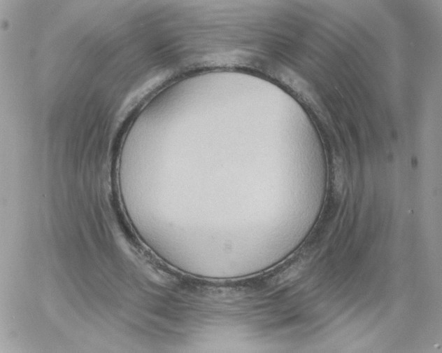 X0000062890486200602031811