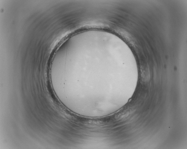 X0000062890487200602031811