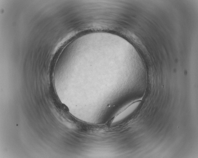 X0000062890488200602031811