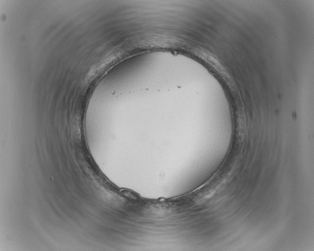 X0000062890489200602031811