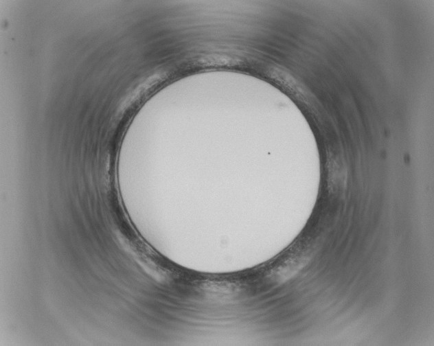 X0000062890490200602031811