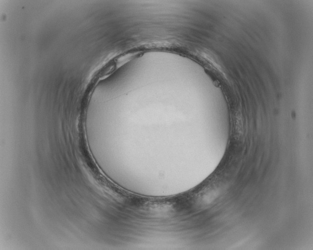 X0000062890491200602031811