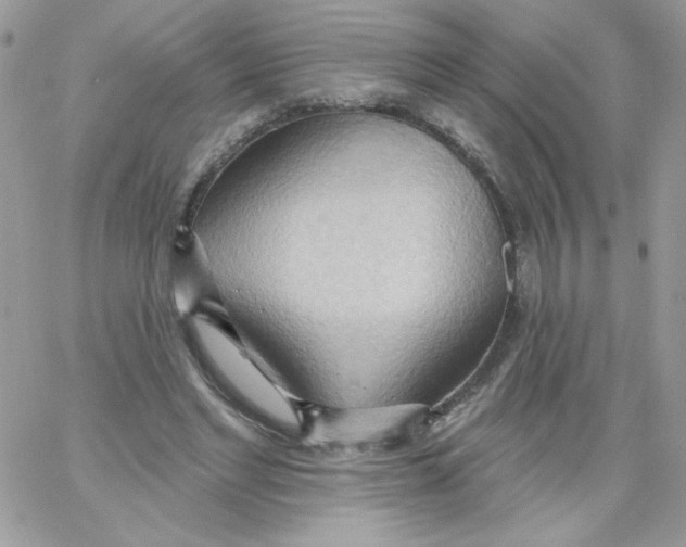 X0000062890493200602031811