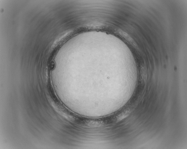 X0000062890494200602031811