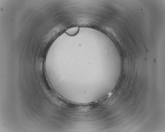 X0000062890495200602031811