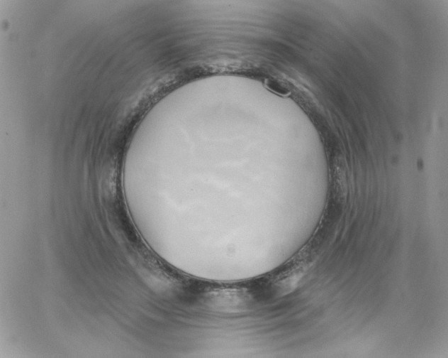 X0000062890499200602031811