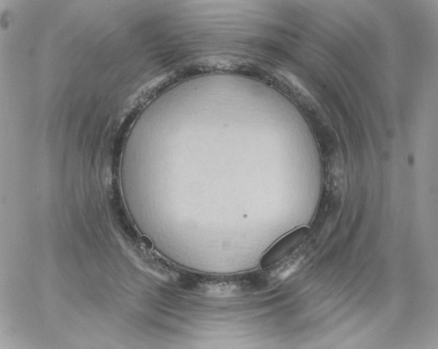 X0000062890500200602031811