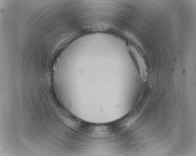 X0000062890501200602031810