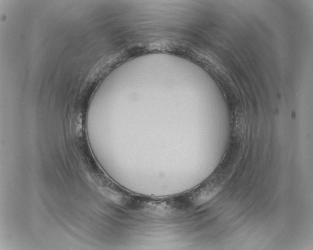 X0000062890502200602031810