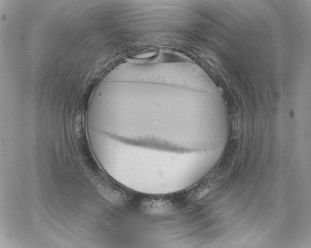 X0000062890503200602031810