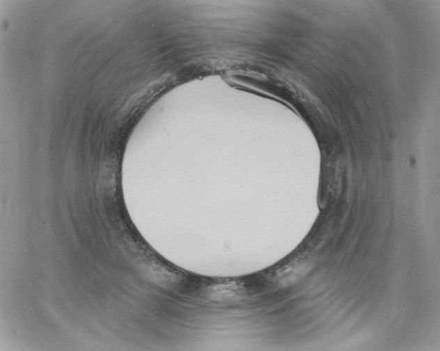 X0000062890505200602031810