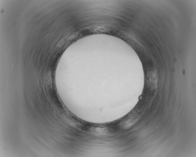 X0000062890506200602031810