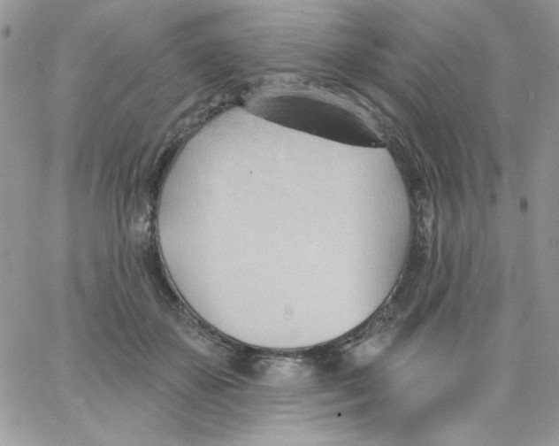 X0000062890507200602031810