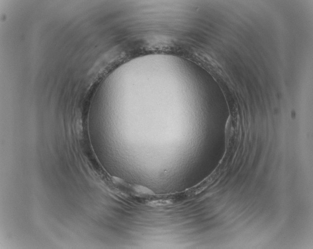 X0000062890508200602031810