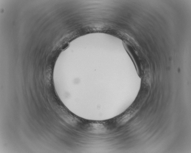 X0000062890509200602031810