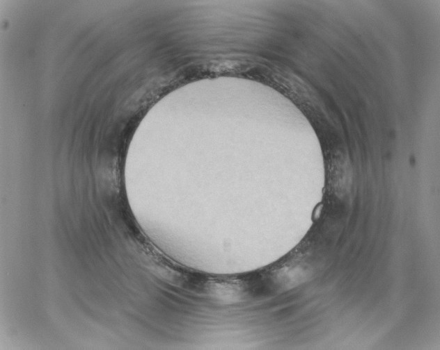 X0000062890510200602031810