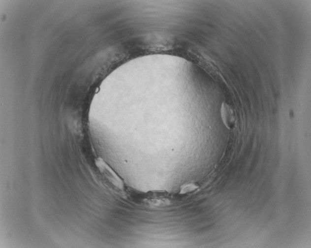 X0000062890512200602031810