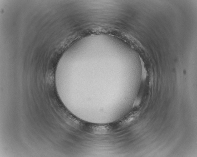 X0000062890513200602031810