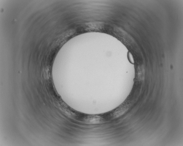 X0000062890514200602031810