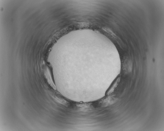 X0000062890516200602031810